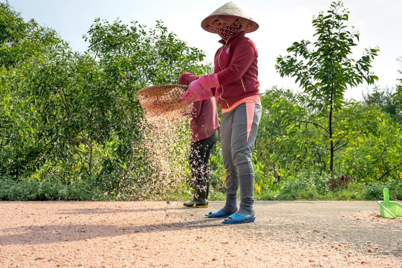 ಏರಿ ರೇಷ್ಮೆ ಚಿಣುರು ಪೋಷಣೆ – ಹಳ್ಳಿಯ ಮಹಿಳೆಯರಿಗೆ ಆರ್ಥಿಕ ಸ್ವಾವಲಂಬನೆಯ ದಾರಿ