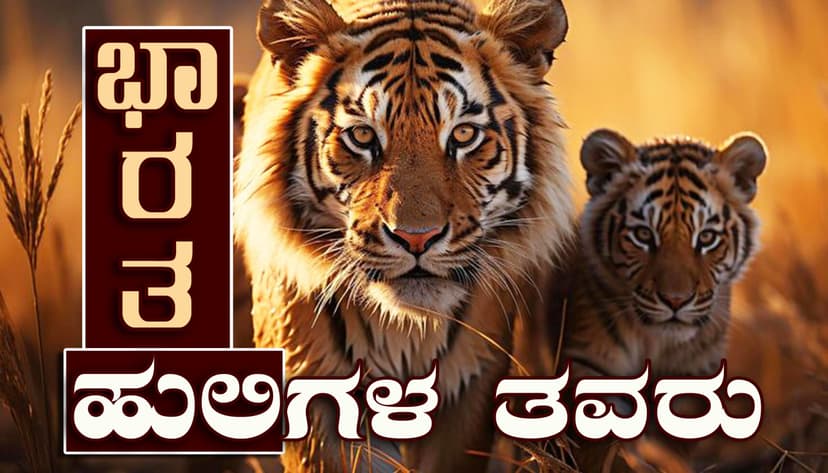 ಹುಲಿ ಸಾಗಿದ ದಾರಿ…