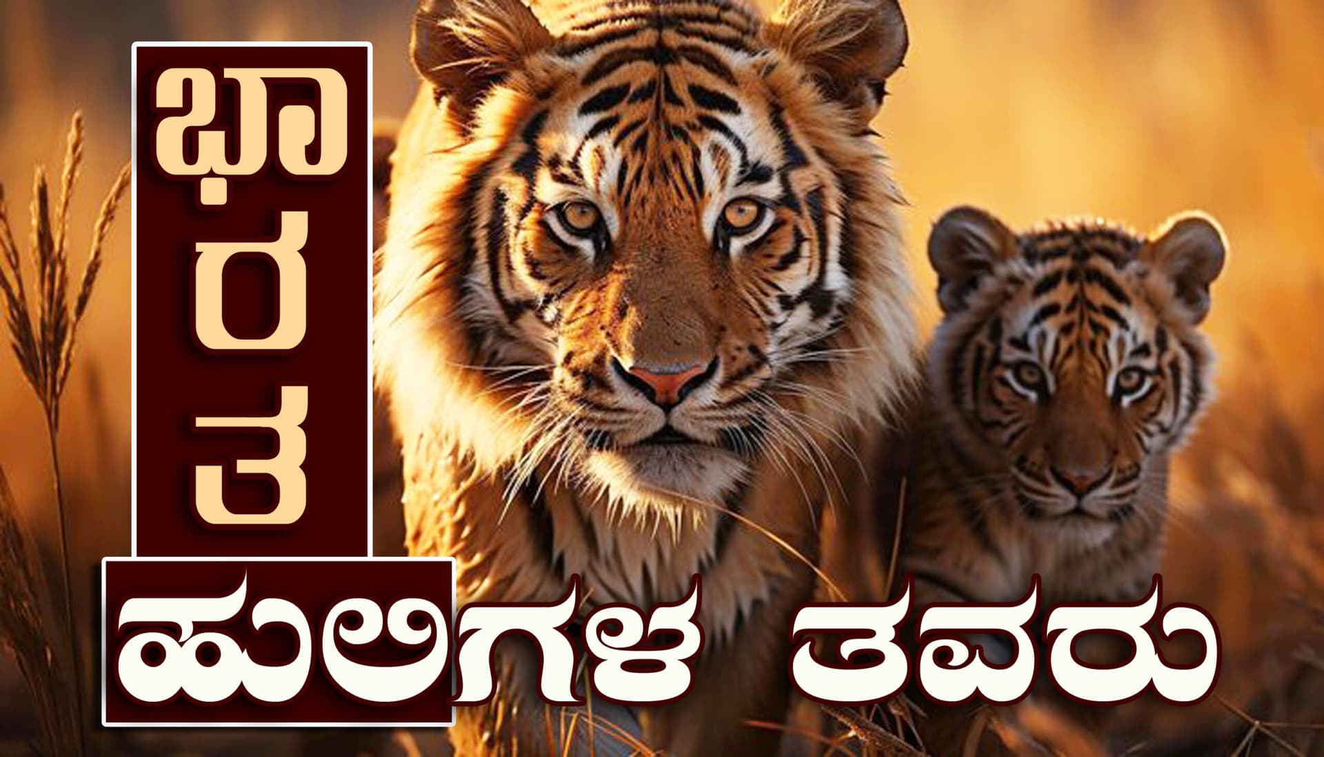 ಹುಲಿ ಸಾಗಿದ ದಾರಿ…