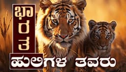 ಹುಲಿ ಸಾಗಿದ ದಾರಿ…